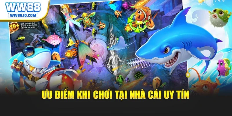 Ưu điểm khi chơi tại nhà cái uy tín
